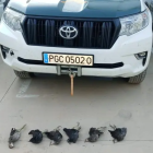 Exemplars de polla d'aigua trobats a un caçador a Deltebre davant d'un vehicle de la Guàrdia Civil.