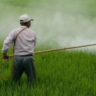 Descubren que la exposición de un pesticida se relaciona con un mayor riesgo de sufrir alzhéimer