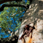 'Mamody, l'últim excavador de baobabs' serà el documental inaugural