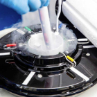 Els resultats de l'estudi indiquen que la microgravetat no afecta la viabilitat de l'esperma humà congelat.