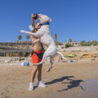 Imatge d'arxiu d'un propietari jugant amb el seu gos a la platja del Miracle de Tarragona un dia de l'estiu passat.
