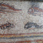 Detall del Mosaic dels Peixos del MNAT que ha estat restaurat al mateix museu.