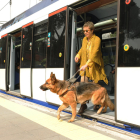 Una dona cega acompanyada pel seu gos pigall sortint d'un autobús.