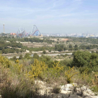 Panorámica de los terrenos donde se tiene que construir el proyecto de Hard Rock.