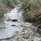 Imatge d'arxiu de l'estat del riu Glorieta durant un episodi anterior de contaminació.