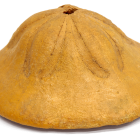 El fósil de erizo de mar de más de 10 millones de años se encontró en el Camp de Tarragona.