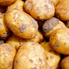 Imatge d'unes patates.