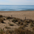 Una de les zones de les platges del Vendrell on es fomentarà la regeneració dunar.