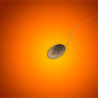 La infertilitat afecta aproximadament un 15% de la població mundial.