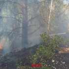 Imatge de l'incendi forestal a Tortosa.