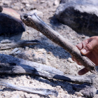 Ossos humans de soldats de la batalla de l'Ebre a la zona cremada per l'incendi de Corbera d'Ebre.