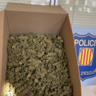 Durante el operativo en el Vendrell se intervinieron más de 30 kilogramos de marihuana lista para la venta.