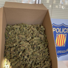 Durant l'operatiu al Vendrell es van intervenir més de 30 quilograms de marihuana llesta per a la venda.