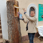 L'alcalde de Cambrils, Oliver Klein, dipositant llibres en un dels arbres habilitats del Parc Samà.