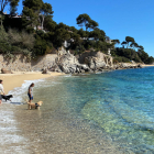 Una platja per a gossos a Catalunya.