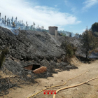 El foc de Flix ha crema 900 metres quadrats de vegetació de ribera.