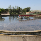 Imatge d'una de les piscines de les instal·lacions d'Aigües de Reus.