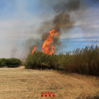 Imagen del incendio de Aldover que ha activado siete unidades terrestres y dos aviones.