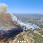 Imatge aèria de l'incendi del Perelló.