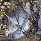 Un bomber remullant un dels arbres cremats a la zona del Puig Moltó al Perelló.