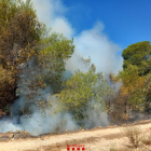 L'incendi s'ha detectat a l'altura de la Vall d'En Pastor.
