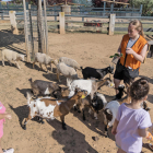 Una treballadora està a punt de donar menjar a ovelles i cabres davant l'atenta mirada dels nens.
