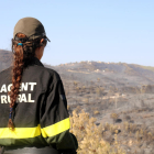Una agent rural contempla la zona de l'incendi .