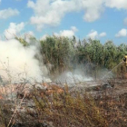 Imatge dels Bombers extingint l'incendi.
