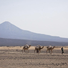 Fotografía de archivo fechada en 2011 de un camellero en el desierto de Danakil, cerca del volcán Erta Ale en la región de Afar, en el norte de Etiopía