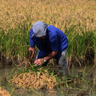 Por sectores, descendió un 23,7% en la agricultura y un 21,5% en la construcción.