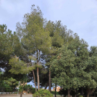 Imatge del parc Montserrat Garriga, que serà el centre neuràlgic de la Festa del Medi Ambient.