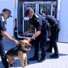Agents de la policia local d'Amposta amb els gossos de la unitat K9.