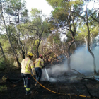 Imatge d'un dels dos incendis declarats a la Conca de Barberà.