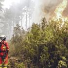 Efectius de la UME en labors d'extinció de l'incendi forestal que afecta l'illa de Tenerife, aquest dissabte en els voltants del municipi de Santa Úrsula.