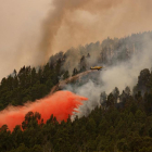 Un avió participa en les tasques d'extinció d'incendi forestal en el municipi de Tenerife del Rosari.