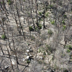 Fotografía realizada por un dron de la zona quemada de Corbera d'Ebre