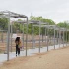 Imagen de una persona paseando bajo la lluvia por el parque del Roserar.