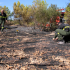 Els Agents Rurals investigant les causes de l'incendi de Mont-roig del Camp.