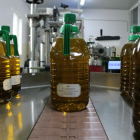 Garrafas de aceite de oliva virgen extra de la cooperativa de La Palma d'Ebre acabadas de envasar.