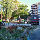 Imatge de l'arbre caigut a la plaça Imperial Tarraco de Tarragona.