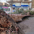 Cau un arbre de grans dimensions a l'avinguda Carles Buigas de Salou