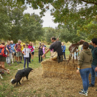 Actividad de la pasada edición.