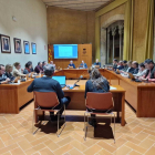 Imagen del pleno del Consejo Comarcal de la Conca de Barberà.