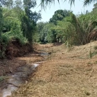 El torrent de Vallmoll, després dels treballs.