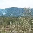 Imatge de la columna de fum de l'incendi de vegetació a l'Ametlla de Mar.
