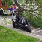 Imatge de dues de les motocicletes afectades per la caiguda d'una branca d'un arbre al carrer Enric d'ossó de tarragona.