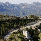 Imatge d'un tram de carrerera al Parc Natural dels Ports.