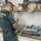 Un agent de la Guàrdia Civil durant la inspecció del restaurant de l'Ametlla de Mar.