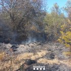 Imatge de l'incendi de vegetació a les Borges del Camp