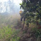 Imatge dels Bombers treballant al lloc de l'incendi.